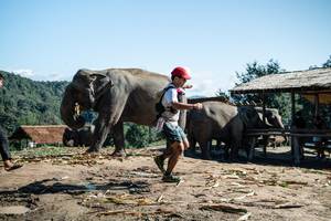 BIB: 
                            <button type="button" onclick="openModal(22422958)" class="btn btn-primary btn-sm float-right btn-popup" data-toggle="modal" data-target=".modal-high-quality">
                        <i class="fas fa-shopping-cart"></i> Add to Cart
                    </button>
                                            <button type="button" onclick="isThisMe(22422958, true)" class="btn btn-success btn-sm float-right btn-popup btn-isme hidden" data-toggle="tooltip" data-placement="bottom" title="นี่คือรูปของคุณใช่ไหม คลิกที่นี่เพื่อเอาเข้าอัลบั้ม">
                        <i class="fas fa-plus"></i> Add to album
                    </button>
                    <button type="button" onclick="isThisMe(22422958, false)" class="btn btn-warning btn-sm float-right btn-popup btn-isnotme hidden">
                        <i class="fas fa-ban"></i> Remove from album
                    </button>